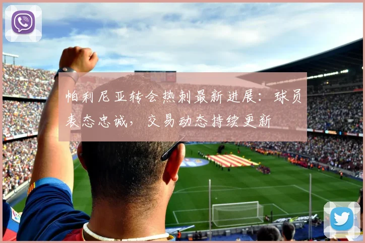 帕利尼亚转会热刺最新进展：球员表态忠诚，交易动态持续更新