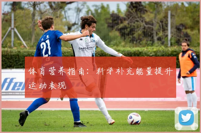 体育营养指南：科学补充能量提升运动表现