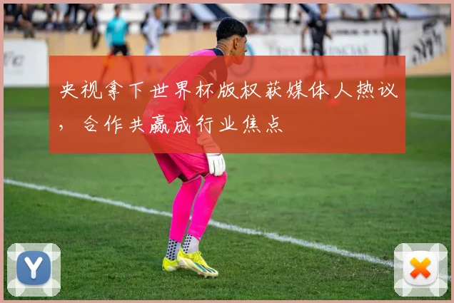 央视拿下世界杯版权获媒体人热议，合作共赢成行业焦点