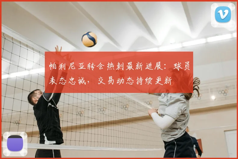 帕利尼亚转会热刺最新进展：球员表态忠诚，交易动态持续更新